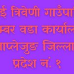 नमुना वडा बनाउदै वडा अध्यक्ष पाठक