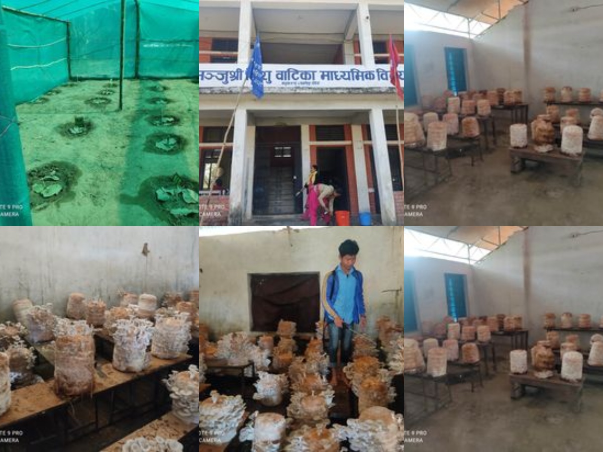 मधुवन नगरपािलका वडा नम्बर २ काे कार्यालयद्वारा विद्यालयमा पढ्दै सिक्दै, सिक्दै कमाउँदै कार्यक्रम