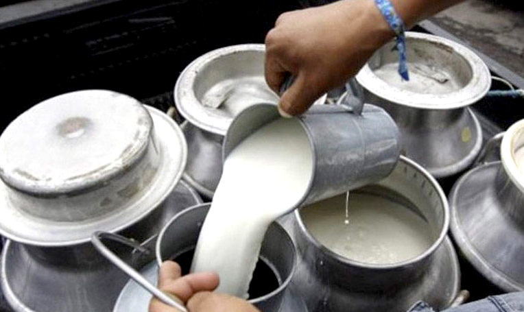 दूध उत्पादक किसानलाई अनुदान