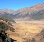 गोठाला, किसान उक्लिएपछि ढोरपाटनमा चहलपहल