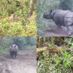पिप्रहरबाट निकुञ्जमा जिप सफारीको सुरुवातमा देखिएका दृश्यहरू