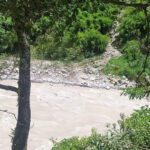 दार्चुलामा तुइनबाट खसेर एक पुरुष महाकालीमा बेपत्ता