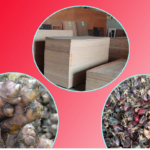 अदुवा, अलैँची र प्लाइउडको निर्यात बढ्यो