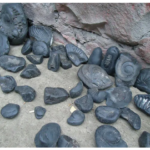 शालिग्राम बचाउन महोत्सव