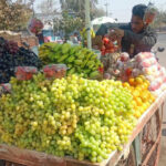 ठेला व्यापारबाटै मनग्य आम्दानी