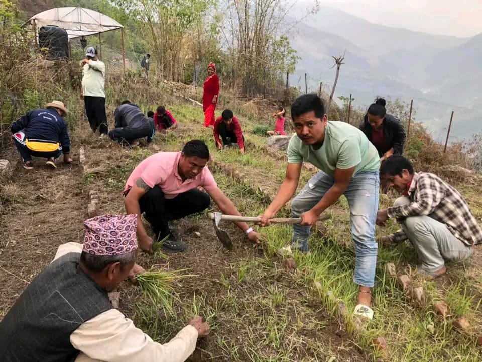 सुर्यगढी गाउँपालिका वडा नम्बर १ का जनप्रतिनिधिकाे एक वर्ष पूरा, वडाले मार्‍याे विकासकाे फड्काे
