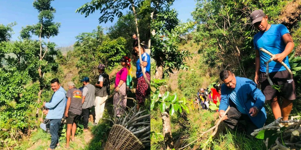 सुर्यगढी गाउँपालिका वडा नम्बर १ मा रहेका मन्दिर वरपर विरुवा वृक्षारोपण