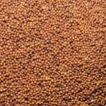 एकाउन्न करोडको कोदो भारतबाटआयात