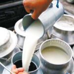 उत्पादनका आधारमा दूधमा अनुदान