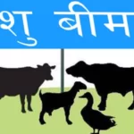 दलित परिवारले पालेका सबै पशुपक्षीको निःशुल्क बीमा