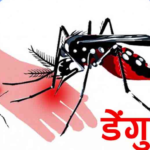 इलाममा डेंगु संक्रमणले एक बालिकाको मृत्यु